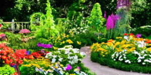 Care Tips to Keep Your Garden Blooming Beautifully