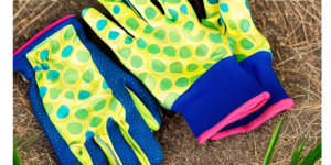 Choosing the Right Gardening Gloves